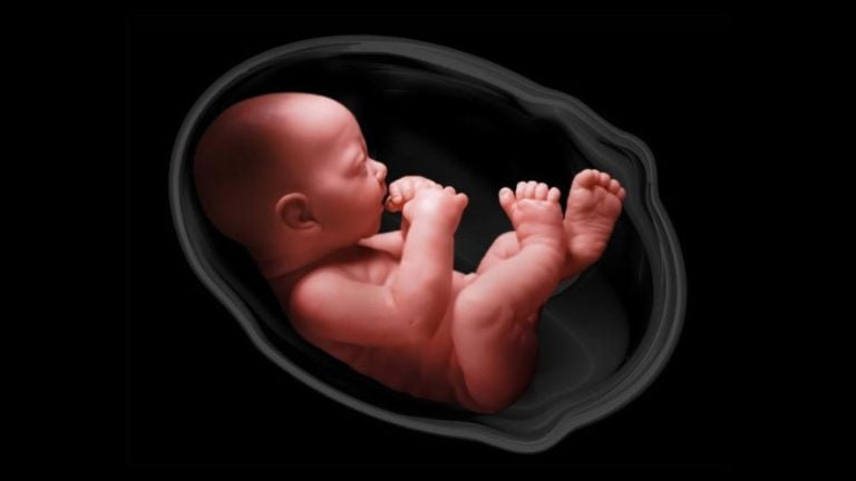 Bảng chiều dài xương đùi thai nhi tiêu chuẩn theo tuần