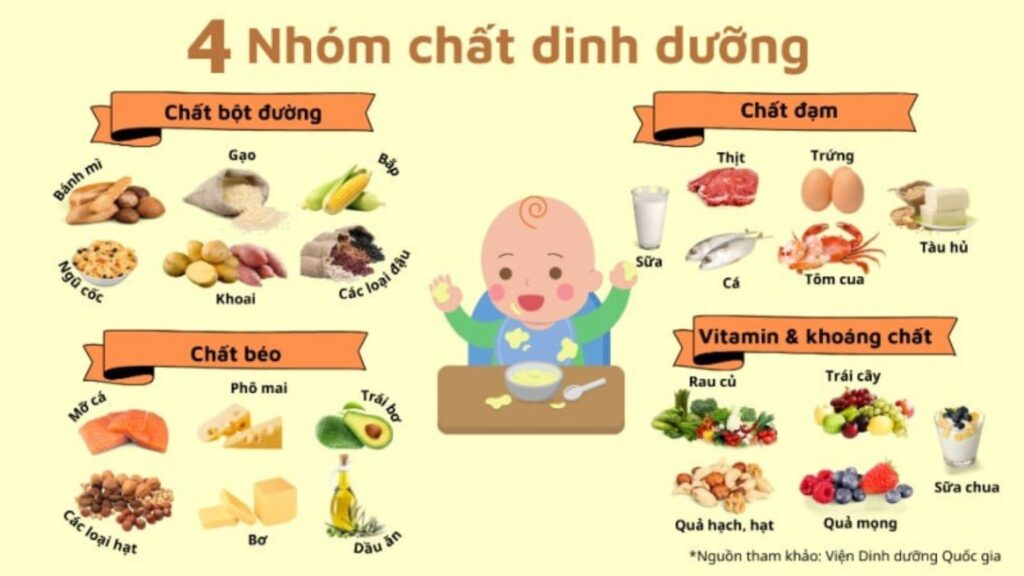 Menu thực đơn cân bằng dinh dưỡng cho trẻ từ 7 tháng đến 15 tuổi