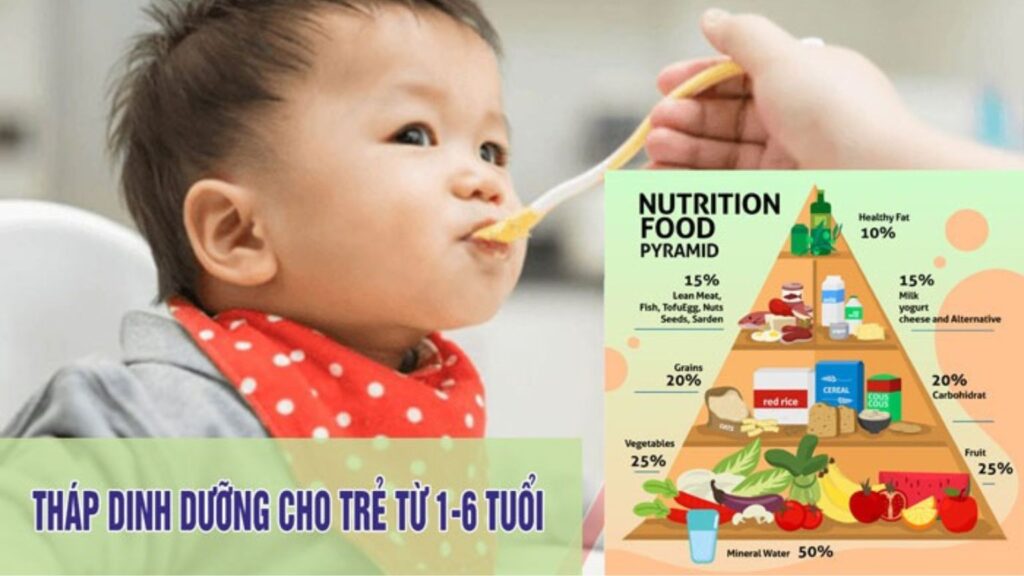 Nhu cầu dinh dưỡng dành cho trẻ từ sơ sinh đến 5 tuổi (Khuyến nghị của Bộ Y Tế)