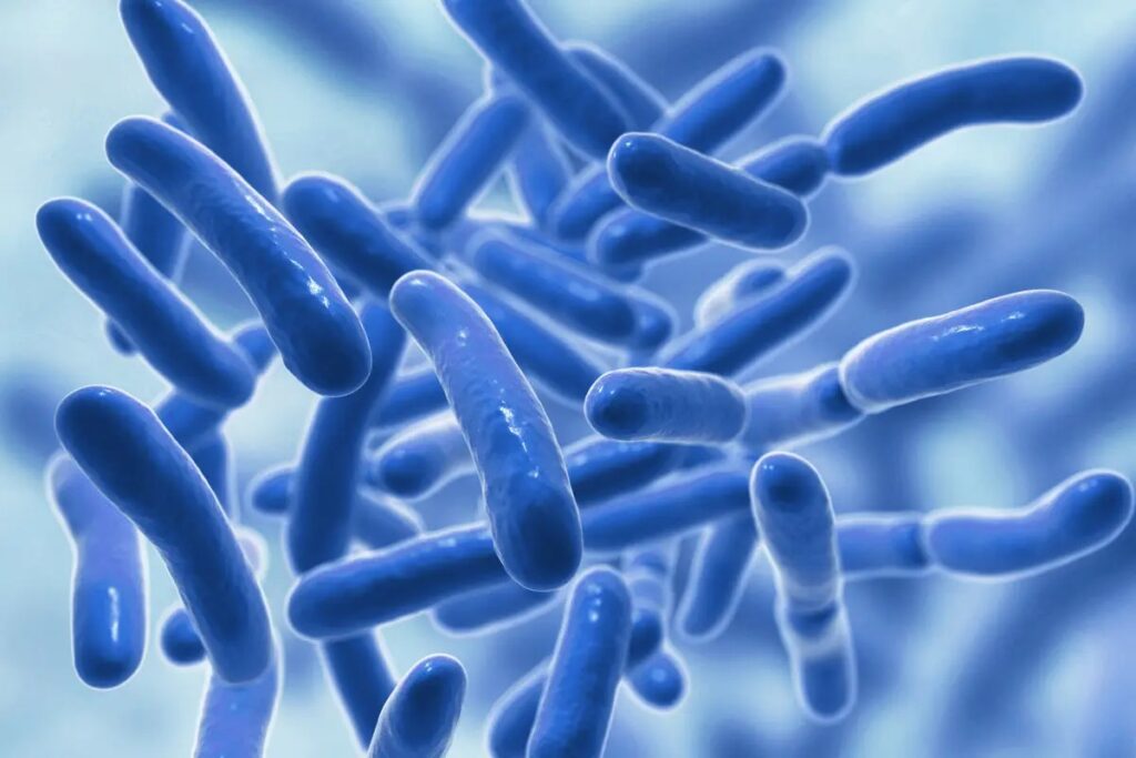 Probiotics trong sữa mẹ