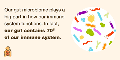 Men vi sinh - vi khuẩn có lợi - probiotics